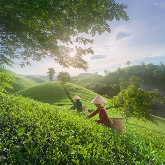 category Sản phẩm bán chạy